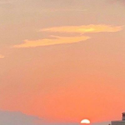 胖鱼游戏下载安装2024