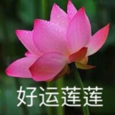 决战平安京应用宝下载
